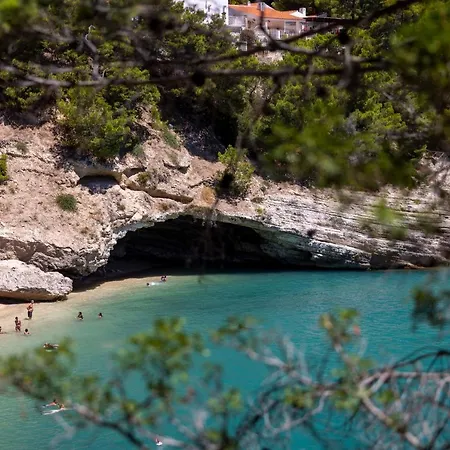 Degli Ulivi Ξενοδοχείο Βιέστε