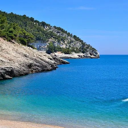 Ξενοδοχείο Degli Ulivi Βιέστε