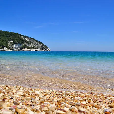 Degli Ulivi 3* Vieste