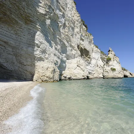 Degli Ulivi Ξενοδοχείο