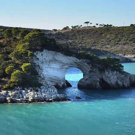 Degli Ulivi 3* Βιέστε