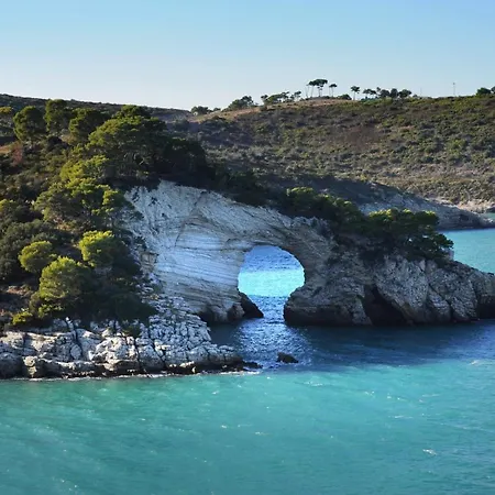 Degli Ulivi Hotel Vieste