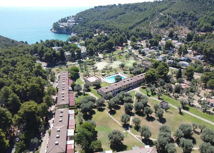 Hotel Degli Ulivi 3*