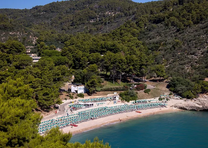 Hotel Degli Ulivi