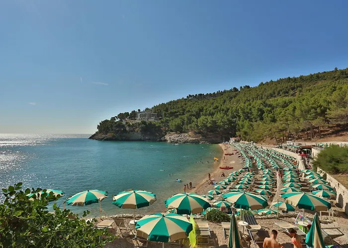 Degli Ulivi 3*