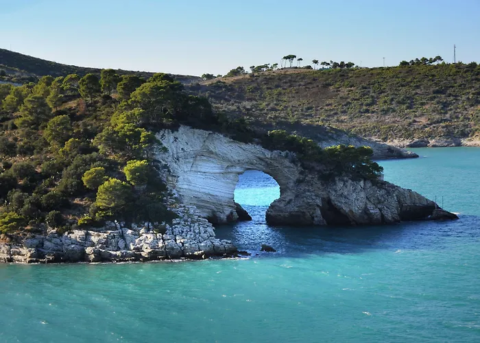 Degli Ulivi 3* Vieste