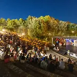 Hotel Degli Ulivi 3*