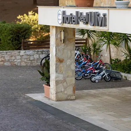 Degli Ulivi Отель