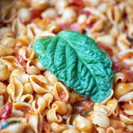 호텔 Degli Ulivi 비에스테