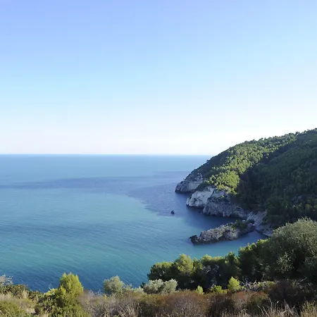 Degli Ulivi Отель 3*