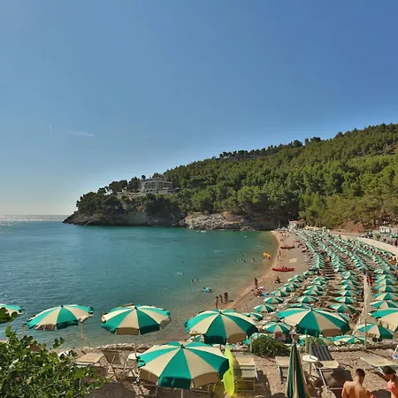 Degli Ulivi 3*