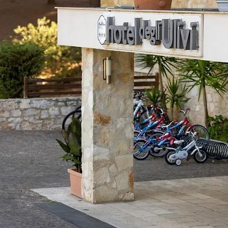 Degli Ulivi 维耶斯泰
