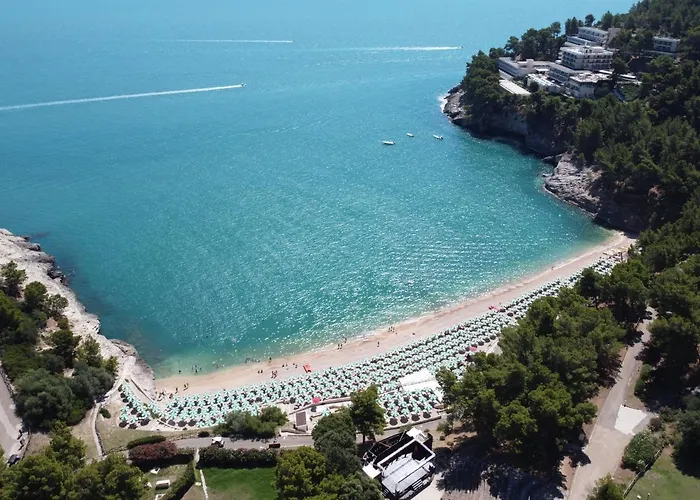 Hotel Degli Ulivi Vieste