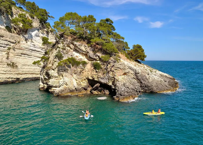 Degli Ulivi Hotel 3*