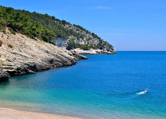 Hotel Degli Ulivi Vieste