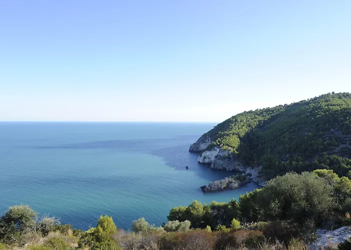 Degli Ulivi Hotel 3*