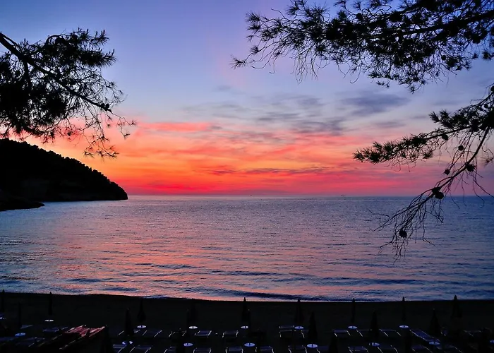 Hotel Degli Ulivi 3*